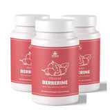 Totally Products Premium Berberine (3 bottles)